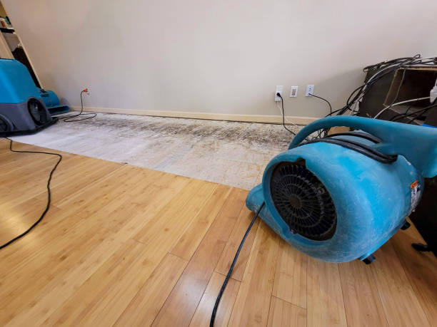 Professional Water Damage Repair technician working in Tremont, PA